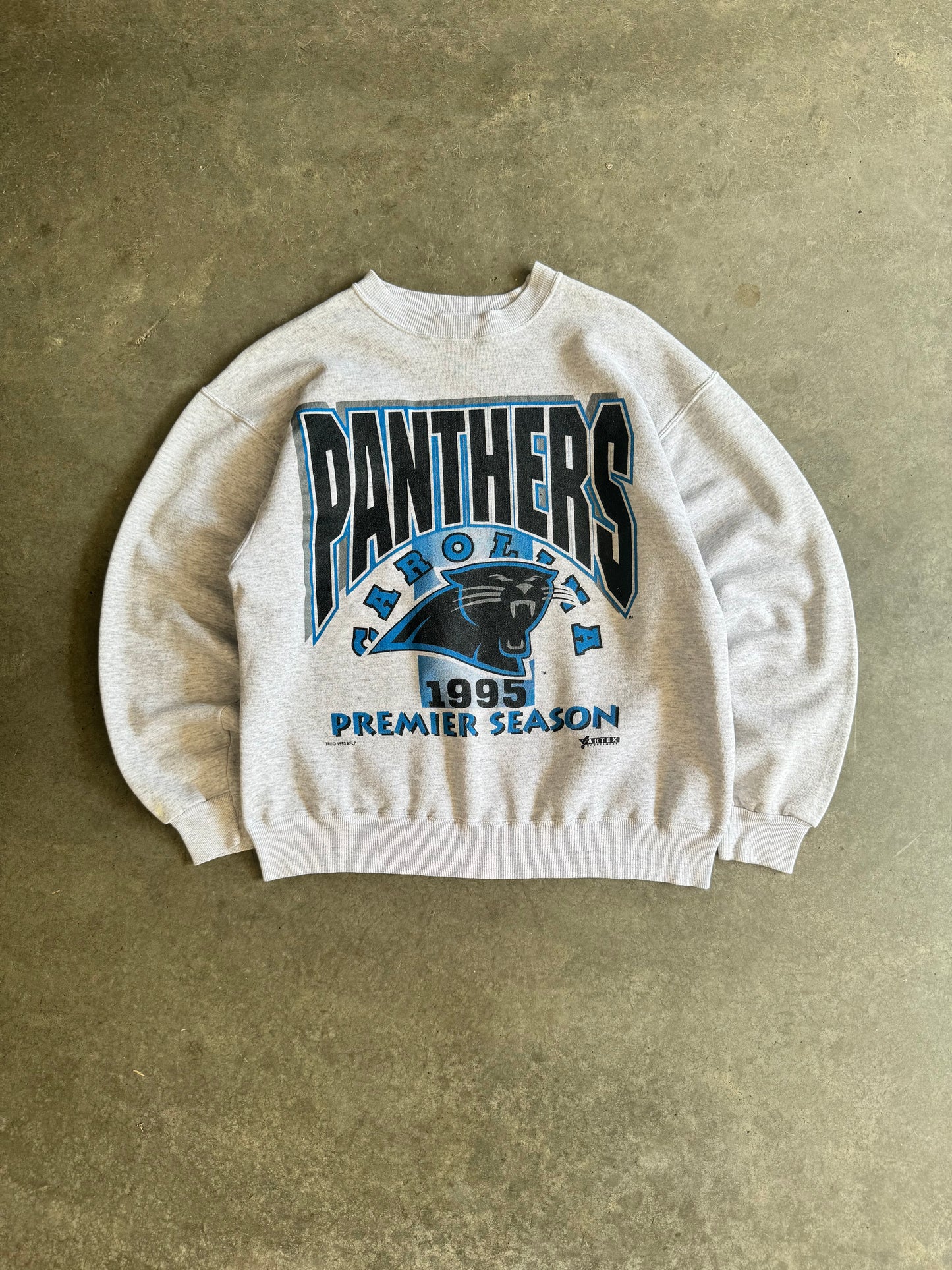 Vintage Carolina Panthers Premier Season Crew - L